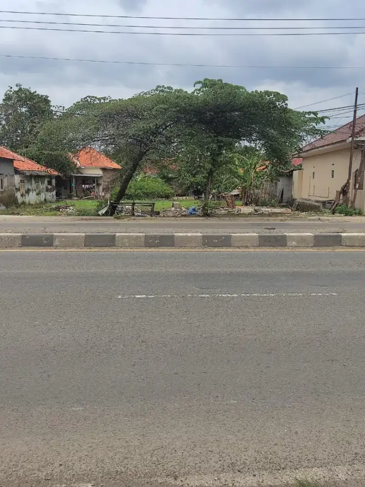 Tanah di Cadangpinggan cocok untuk usaha di jalan raya
