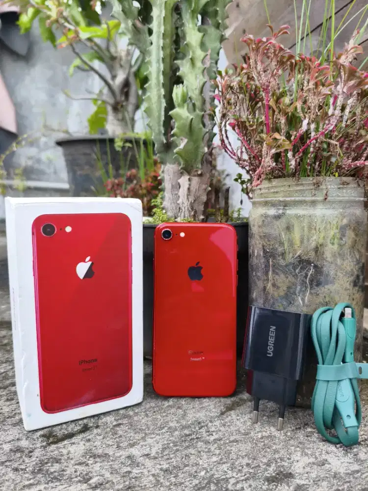 Iphone 8 256gb All operator