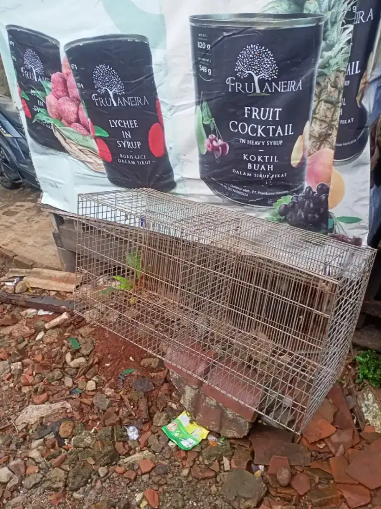 Kandang besi untuk ayam petelur atau anak ayam Murah Meriah