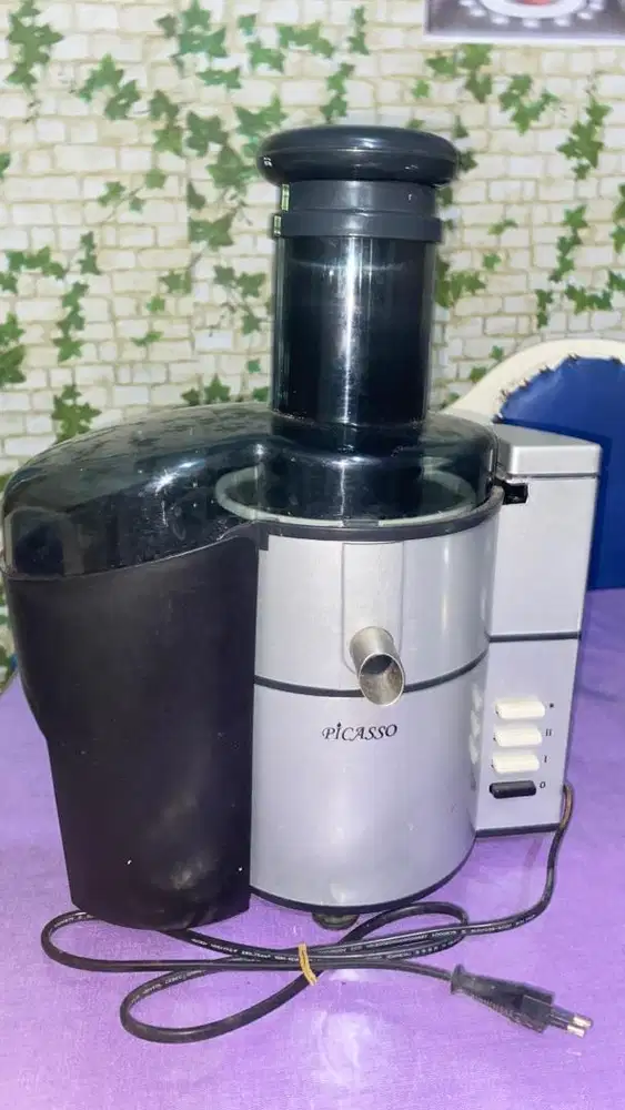juicer piccasoo