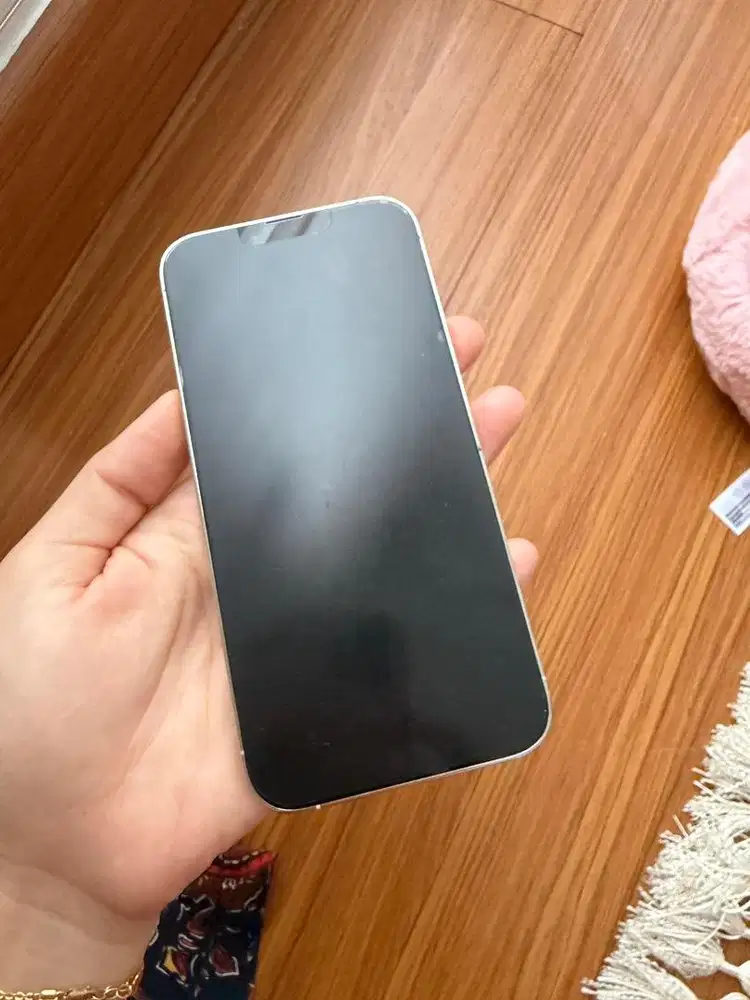 Jual Second Iphone 13 Pro Max 1TB Silver