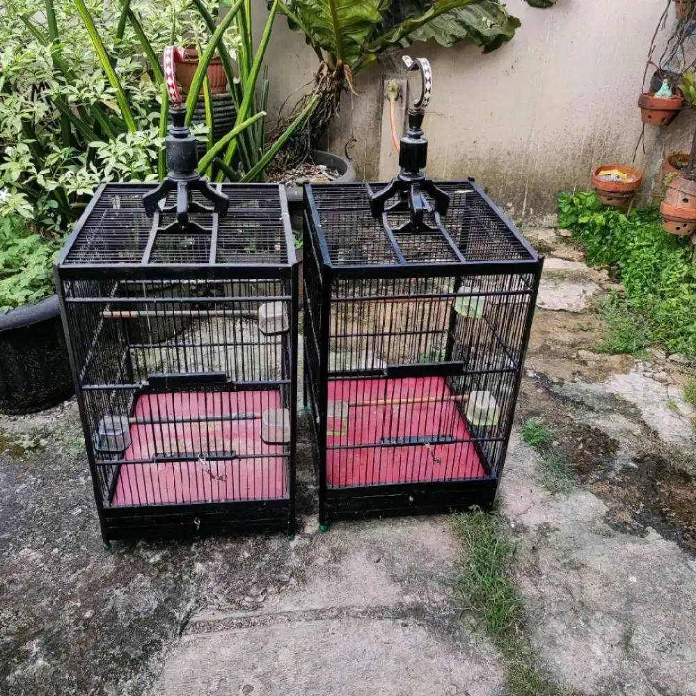 Kandang Kotak no. 1 Replika Tanjung Kayu Kamper Kokoh Layak Pakai NETT