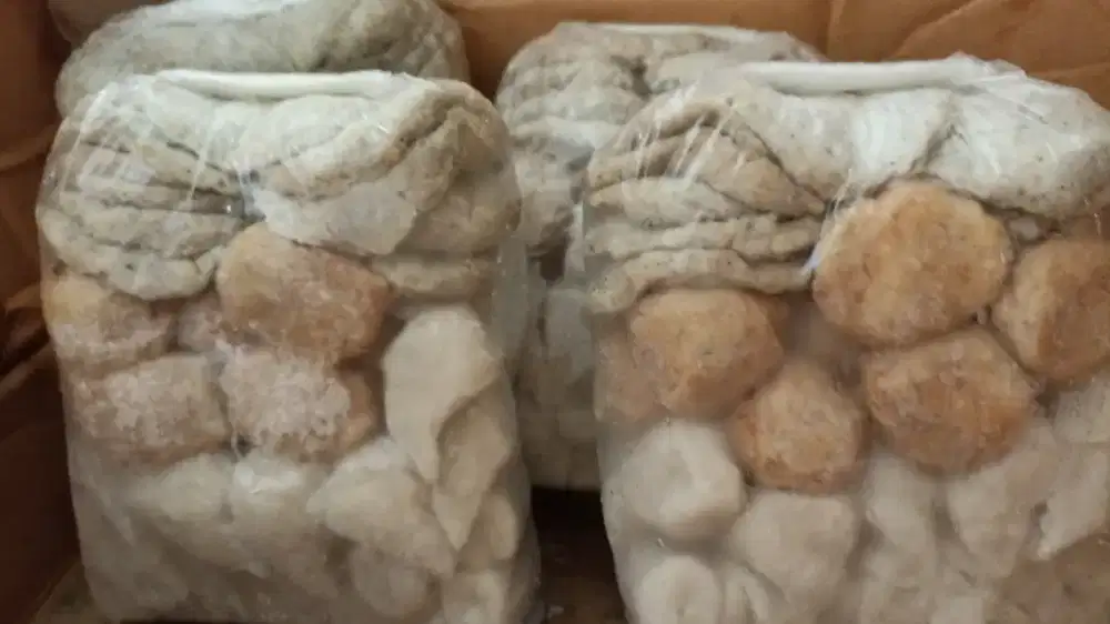 Ready Pempek Mini Lampung