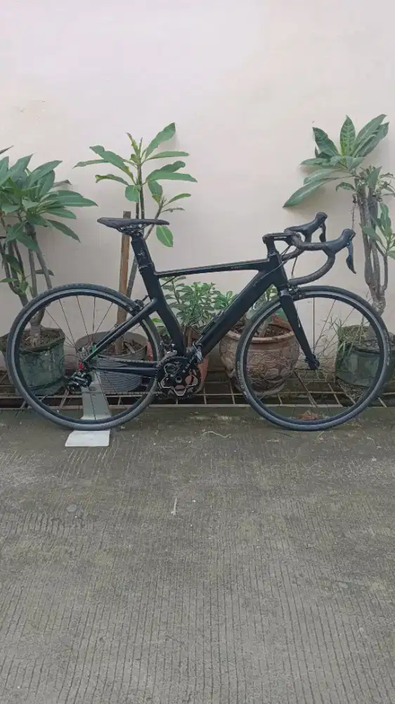 SEPEDA BALAP ROADBIKE ELEMENT FRC85 SIZE 50