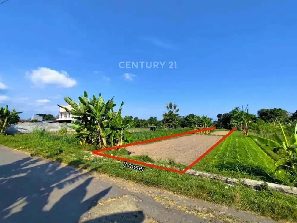 Tanah Sawah 1249m2 Di Mlati Untuk Wisata Kuliner Nuansa Alam