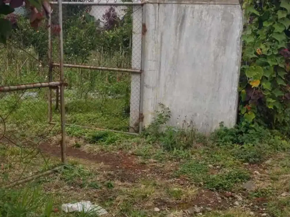 Dijual Kebun Jeruk Lokasi Dau Akses Mobil Bisa Simpangan