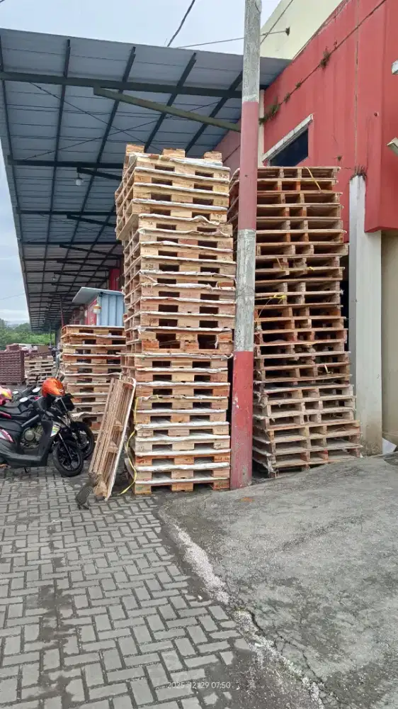 Palet Kayu Bekas masih bagus