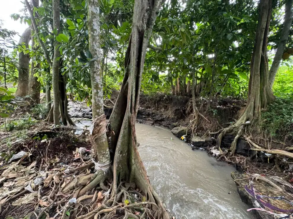 Dijual Tanah Los Sungai View Sawah di Area Tanah Lot Tabanan