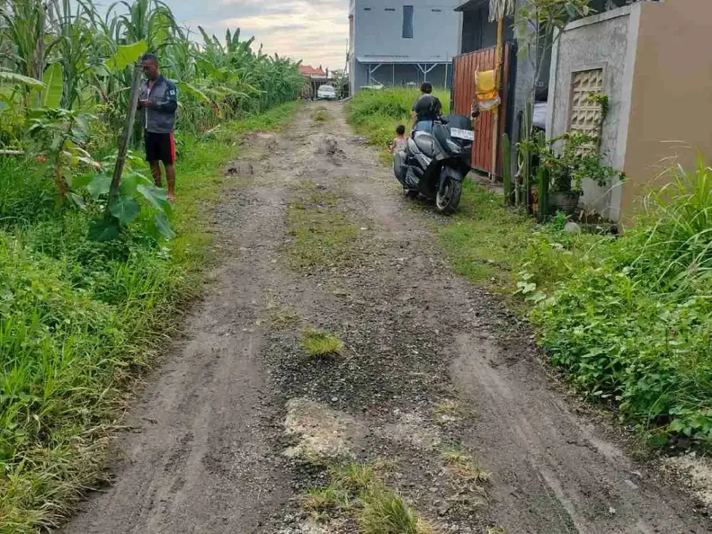 Dijual Cepat Tanah Siap Bangun Dalung Badung Bali