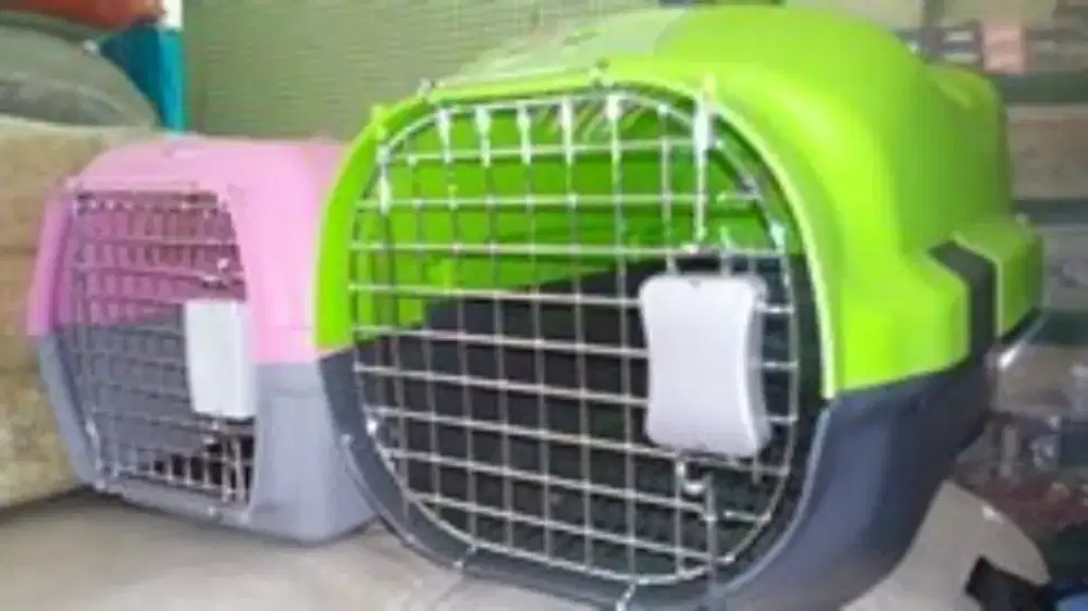 Pet Cargo ada di Pet shop Felix Purworejo