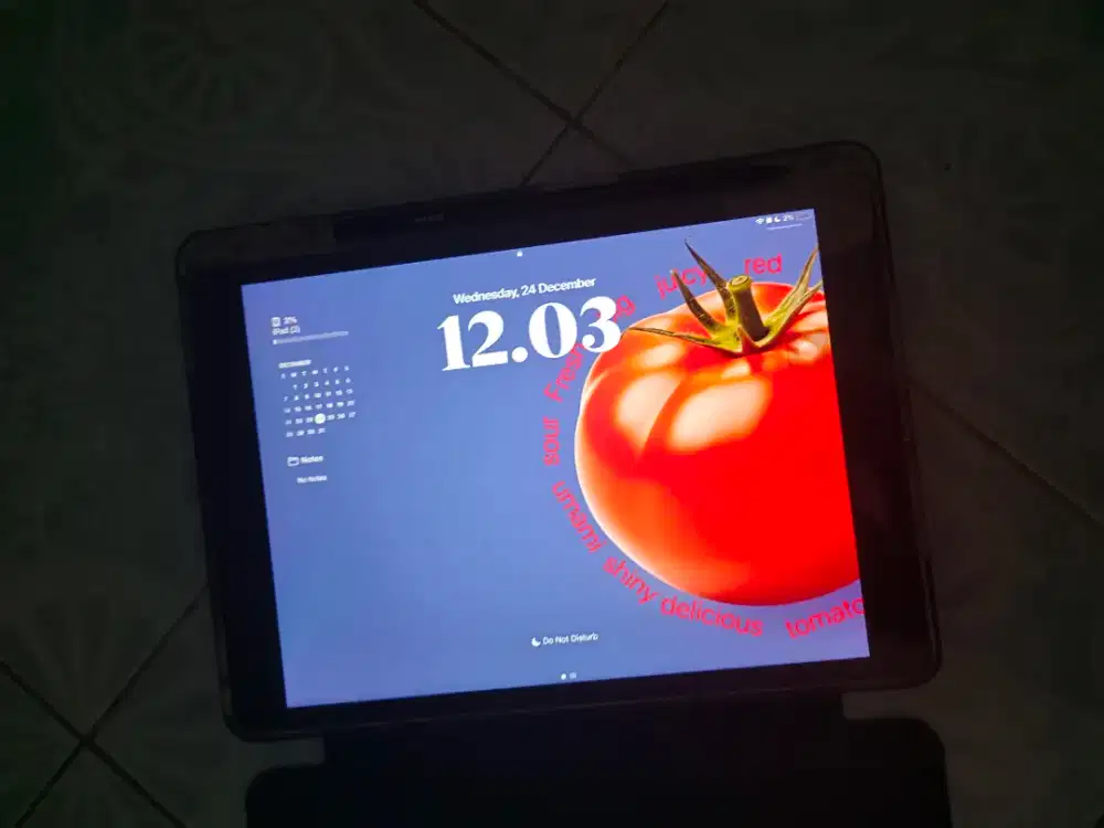 Ready iPad 9th gen 64gb second nego