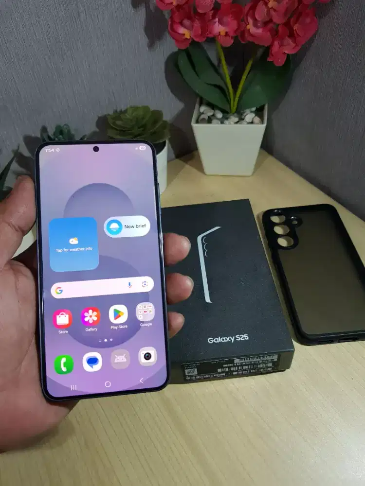 Samsung Galaxy S25 Biasa 5G 12/512GB