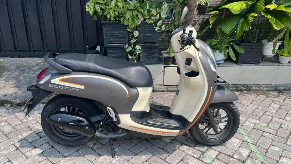 Motor Scoopy Fashion 2023