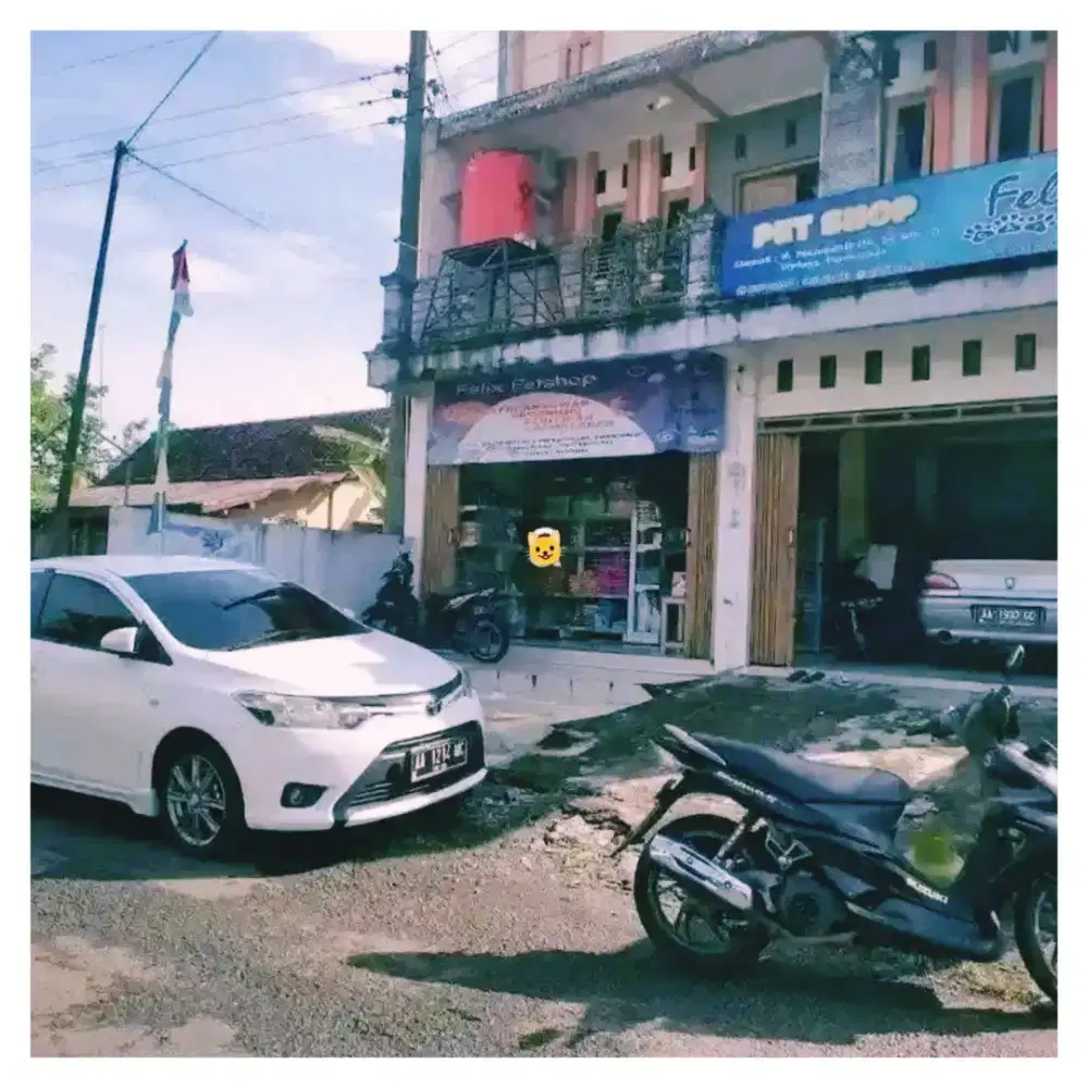 Aksesoris kucing kesayangannya Anda