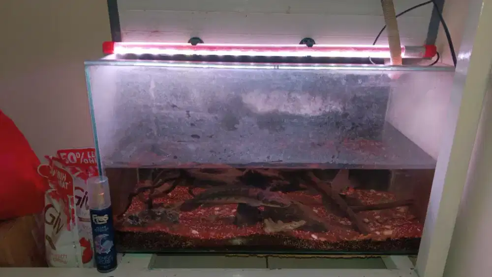 Aquarium ukuran 60x30x30 plus Rak