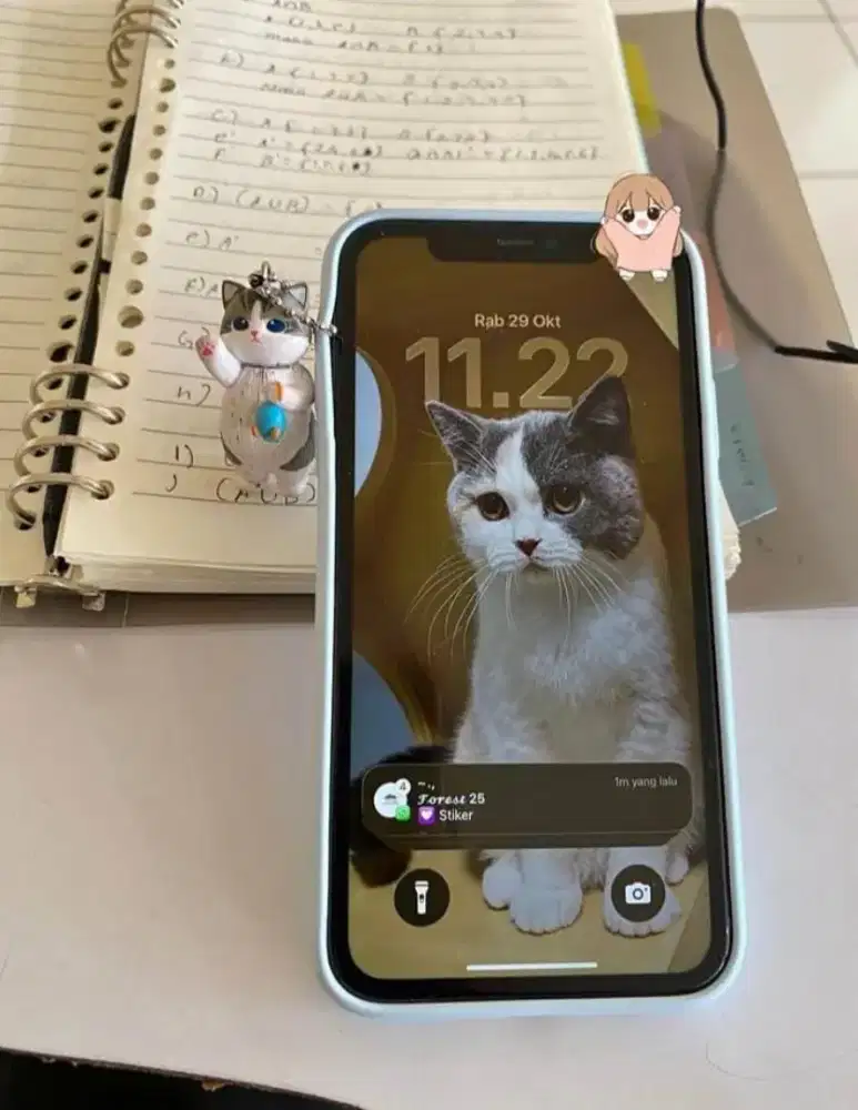 Iphone 11 ex ibox wifi only