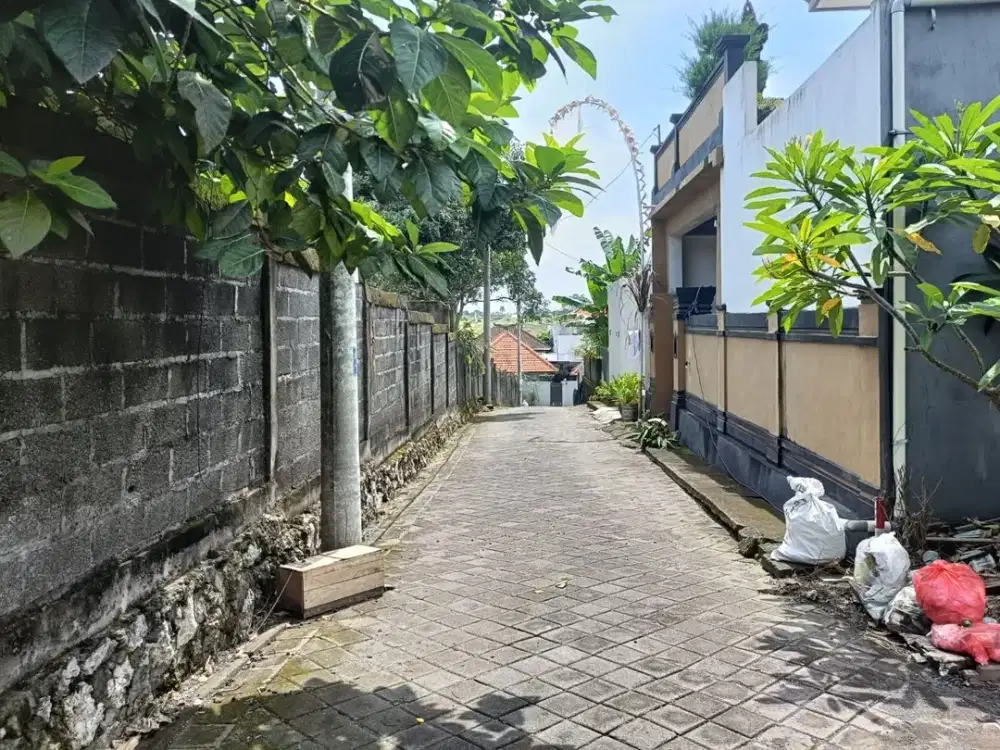 Tanah Dijual di Jl Tumbak Bayuh, Pererenan, Canggu, Bali - Thumbnail 2