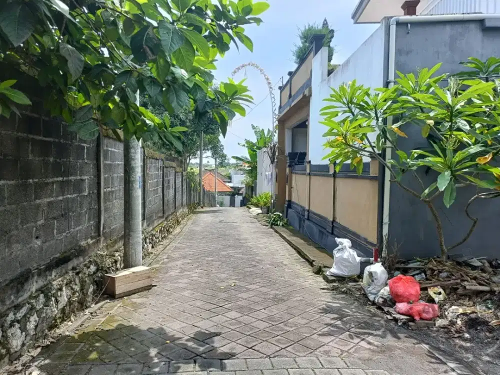 Tanah Dijual di Jl Tumbak Bayuh, Pererenan, Canggu, Bali - Thumbnail 7