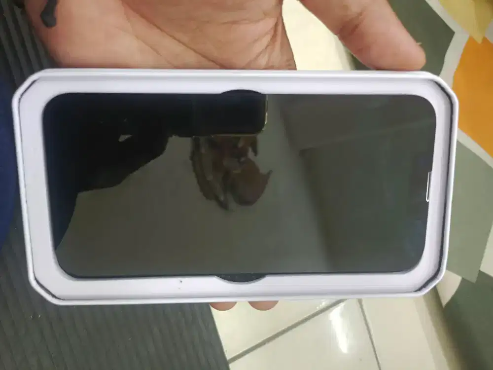 LCD ip 13 minus green line