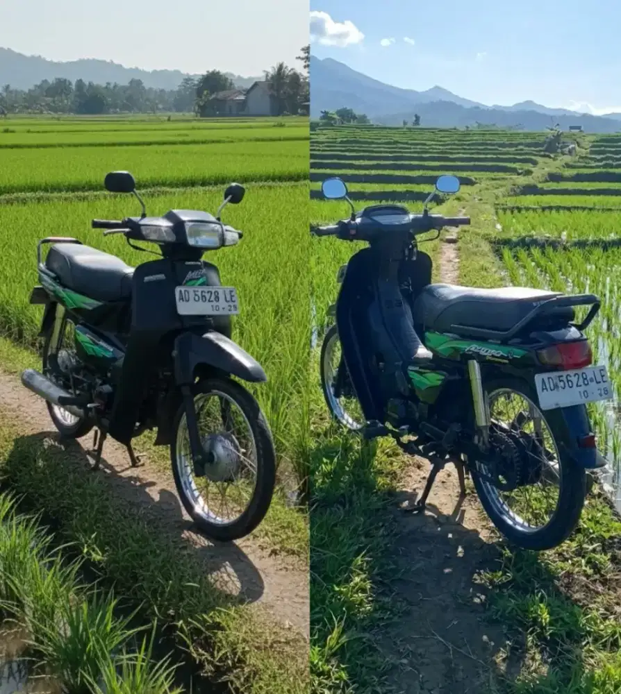 Grand bulus 1993 engkel