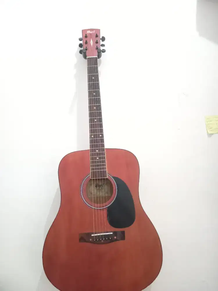 Jual gitar akustik elektrik merek cort AD 810 OP