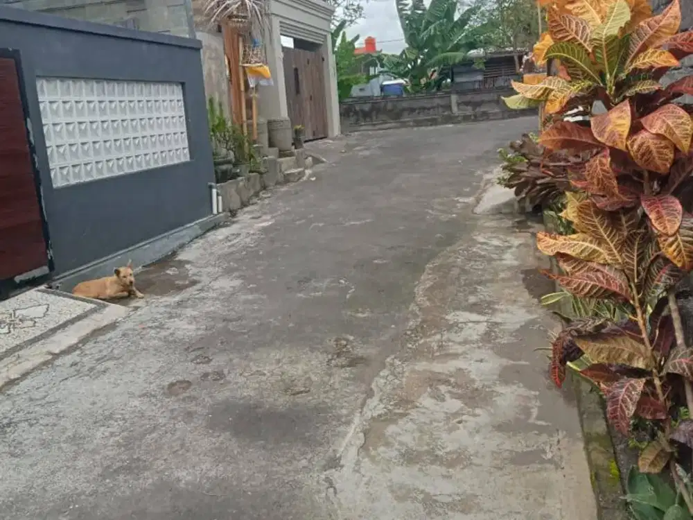 jual Tanah Strategis  Siap Bangun Di Jalan Penyaringan Sanur  Bali. Dekat Ke Pantai, Bay Pas Sanur, Renon,