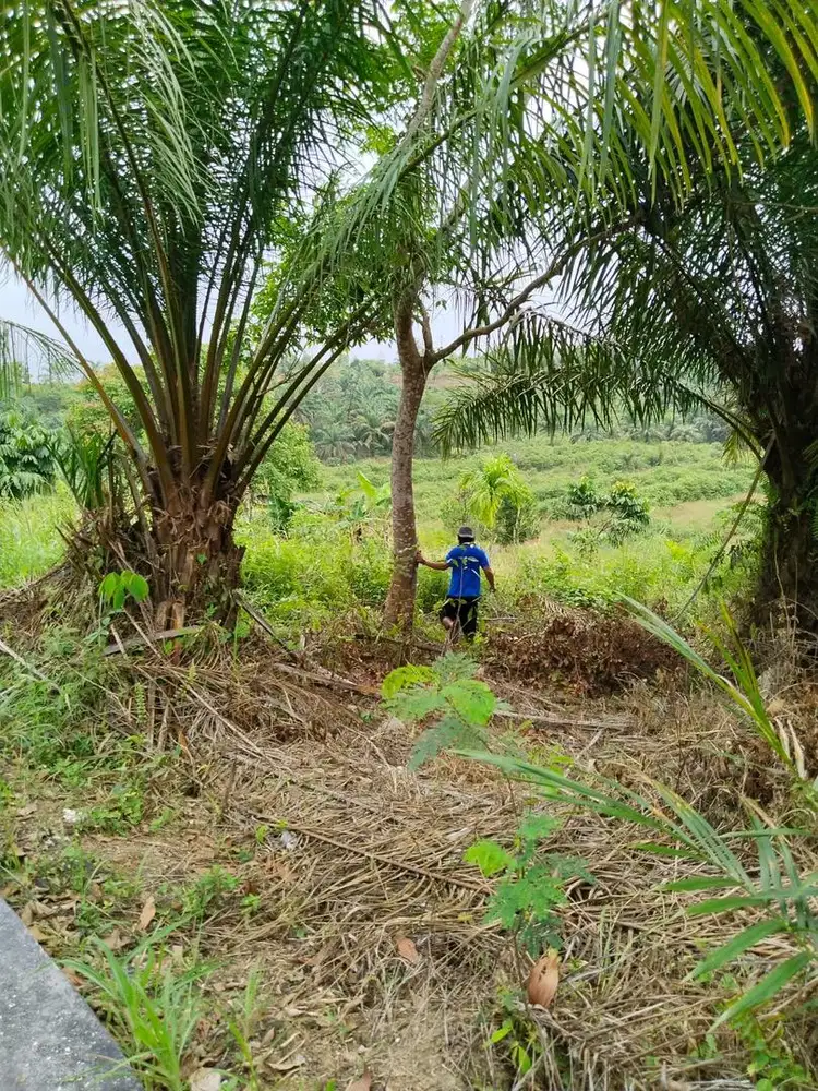 DIJUAL CEPAT TANAH URGENT DI TENAYAN