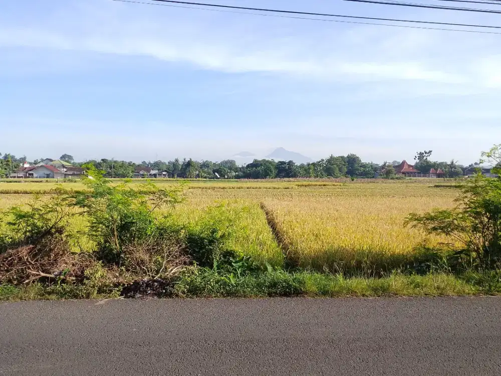 Rumah Murah di Bantul Lokasi Sangat Strategis