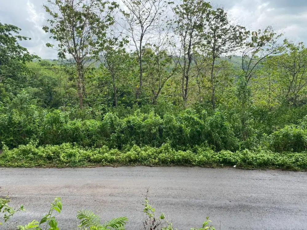 DIJUAL TANAH SUPER LUAS DI JALAN BESUKI KEDIRI! LOKASI SUPER STRATEGIS