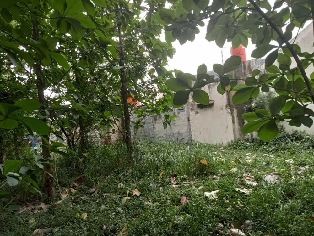 DIJUAL TANAH DI CIBINONG BOGOR! LOKASI SUPER STRATEGIS!