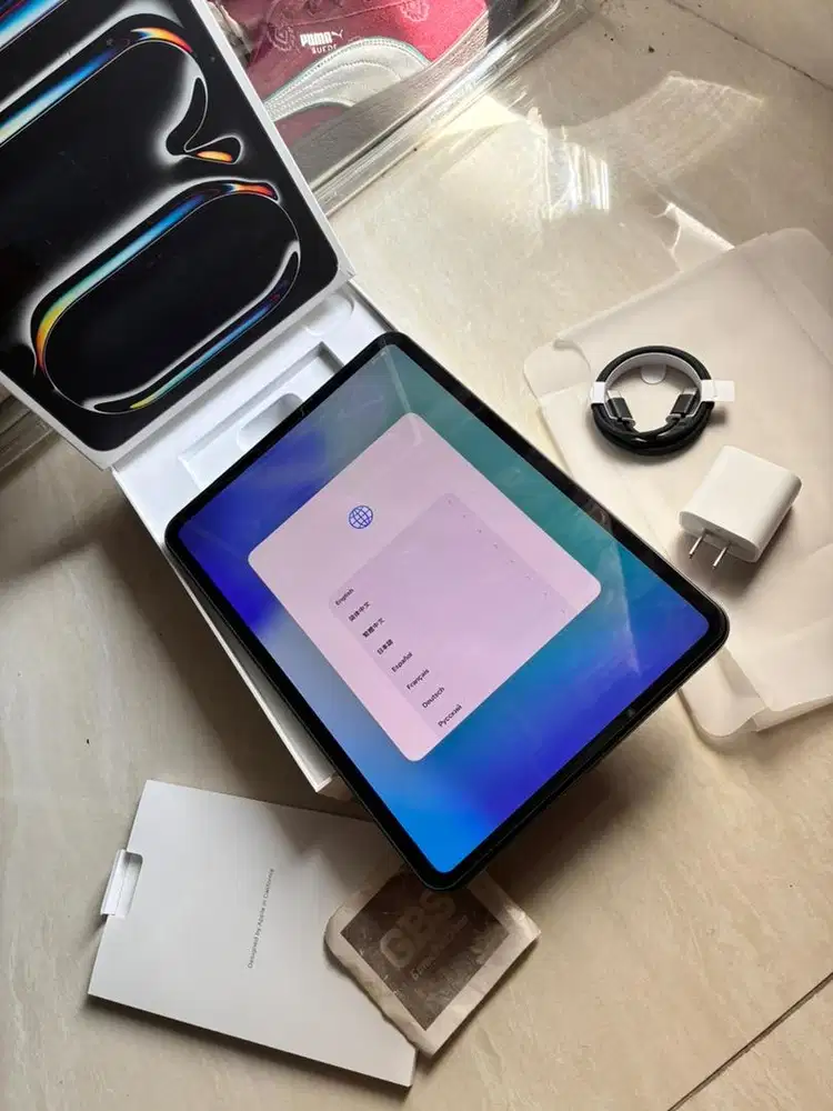 Ipad Pro M4 11 inch Wifi Only 256GB Inter iPad