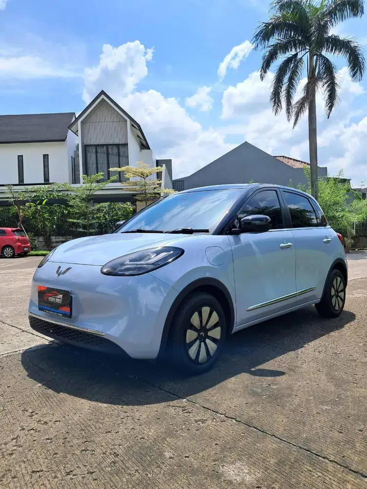 Binguo EV Premium Range 410km 2024