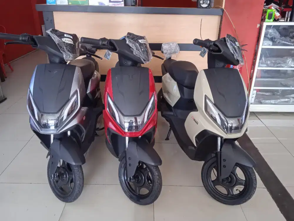 Sepeda Listrik U-winfly 2025 (D66A)