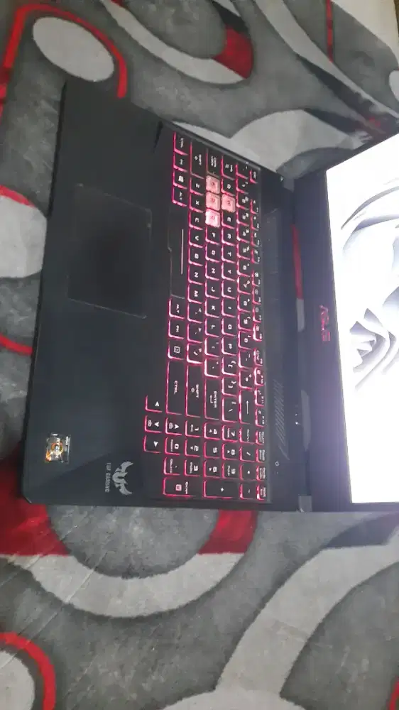Asus TUf FX505DT. Ryzen 7 3750. Ram 8 gb ,HDD 1 TB. GTX 1650 .RGB