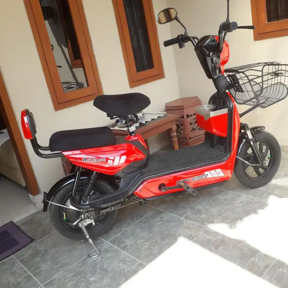 antelope mulus jarang dipakai