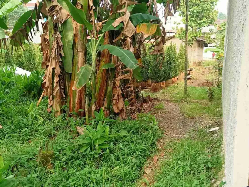 Tanah Strategis Siap Bangun