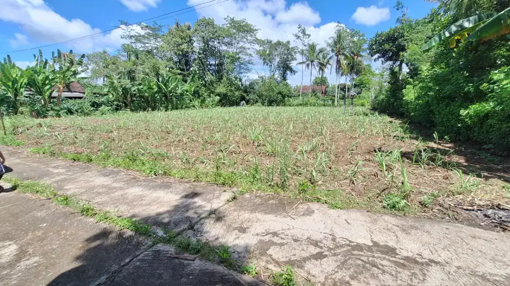 Dijual Tanah Pekarangan Akses Mobil