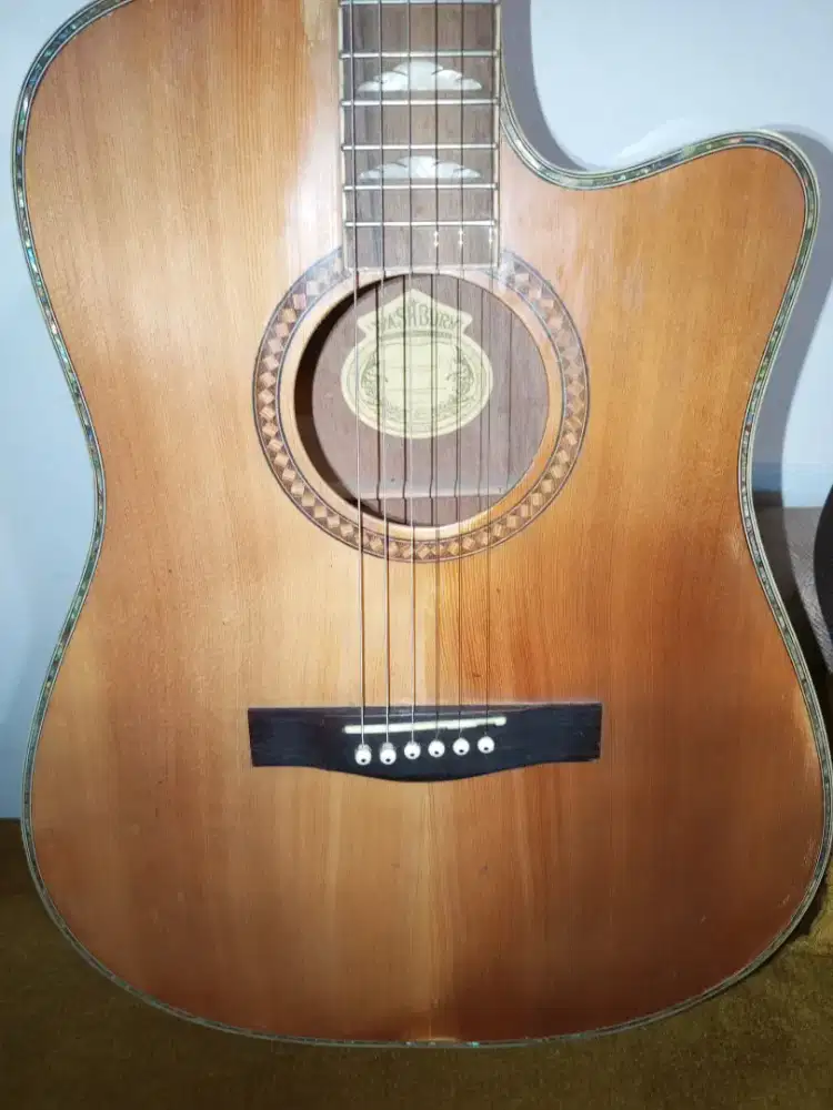 Gitar Akustik Washburn