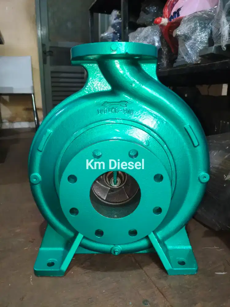 Southern Cross 100x65-315 Centrifugal Pump / Southern cross 100x65-315