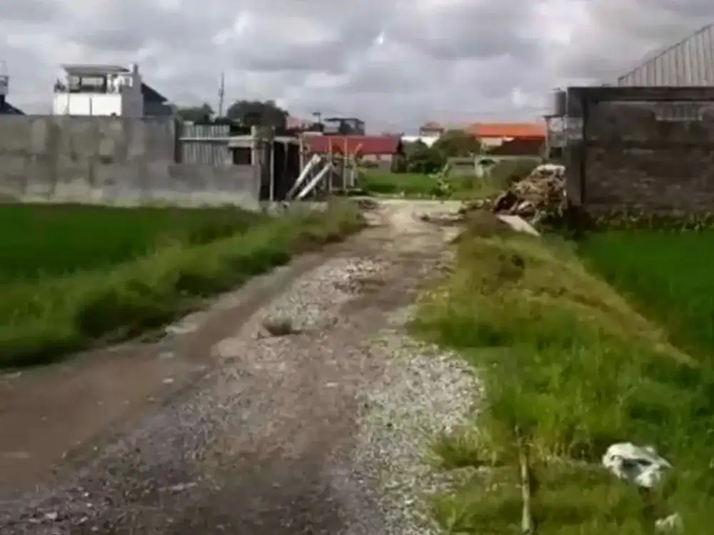kontrak Sewa  Tanah View Sawah Di Jalan Pura Demak Denpasar Barat Bali. Dekat Ke Teuku Umar Barat, imam Bonjol, Mahendradata, Seminyak, Kuta Bali,