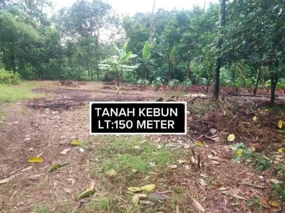 TANAH MURAH DEKAT DARI JALAN ANGKOT DI DESA CANDALI KEMANG BOGOR