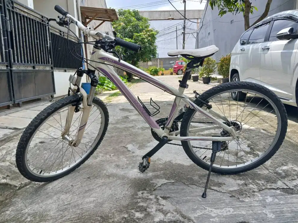 Sepeda Polygon Cleo 1