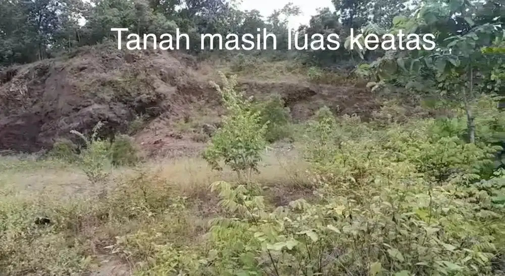 Dijual Tanah Depan Wisata Batik Giriloyo