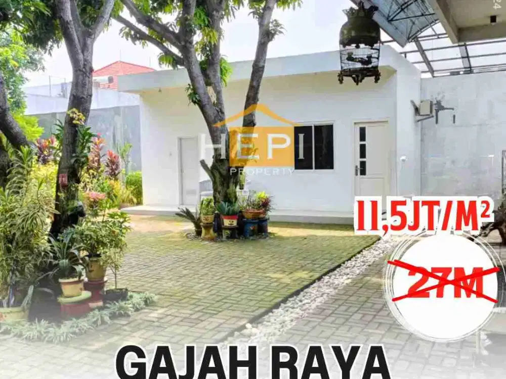 Di Jual Rumah Cantik Di Gajah Raya