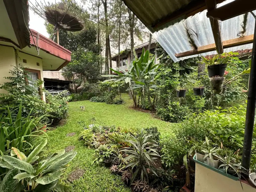 Jual Rumah Hitung tanah di jl nawawi sayap sudirman jamika