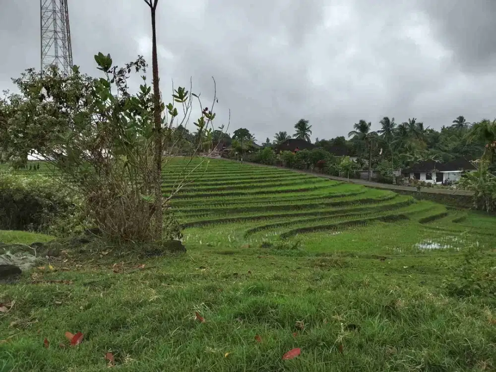 KAVLING PREMIUM TEPI JALAN RAYA SELEMADEG