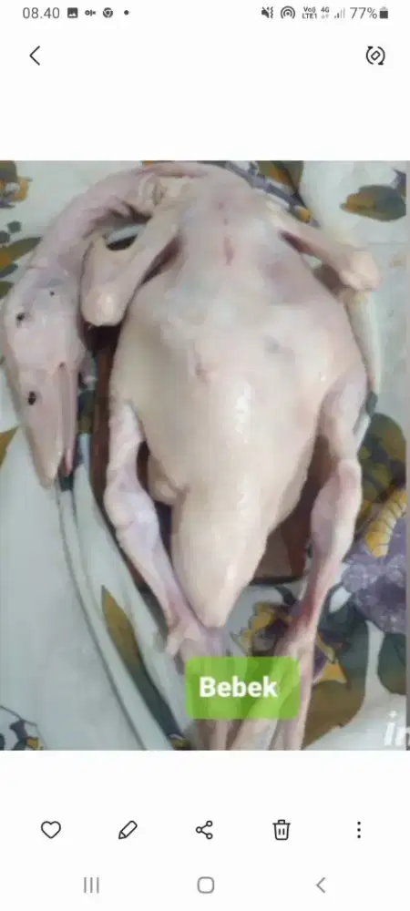 bebek ungkep bumbu kuning