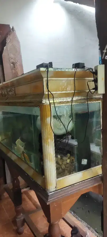 Aquarium antik tanpa lecet