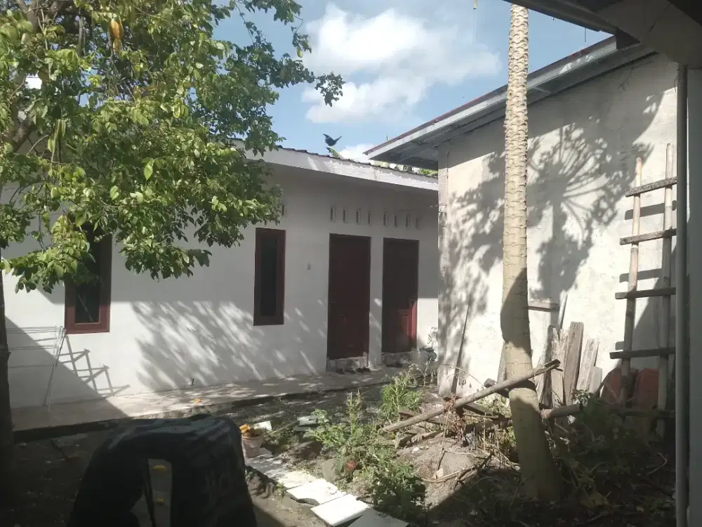 Kost 7 kamar area kampus