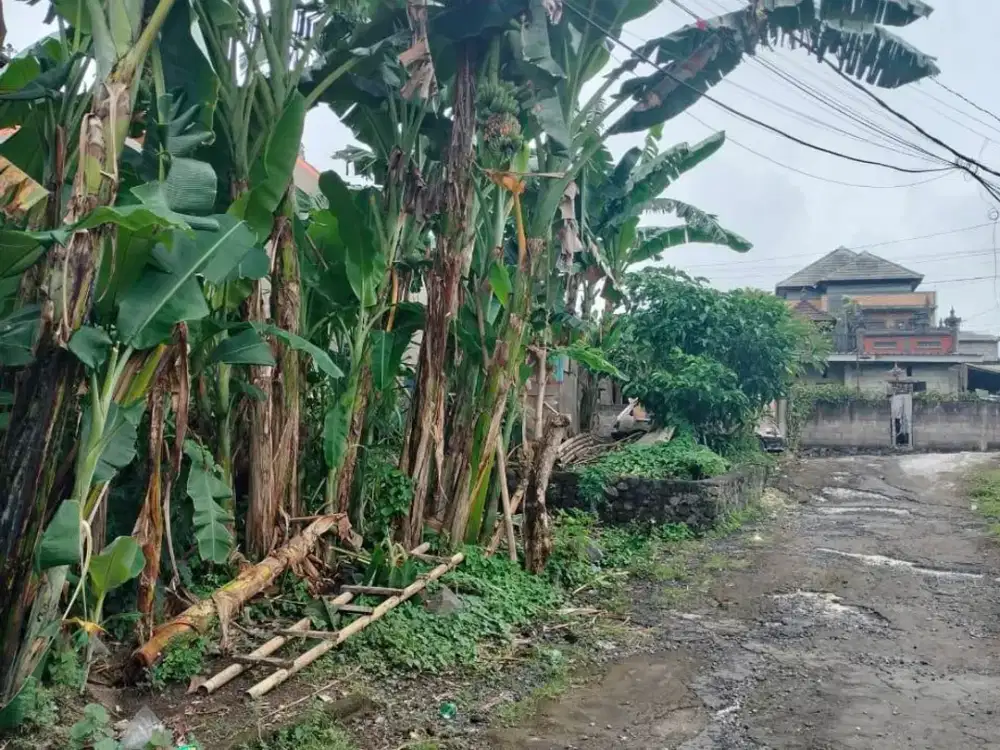 FOR SALE TANAH YANG BATU-GIANYAR